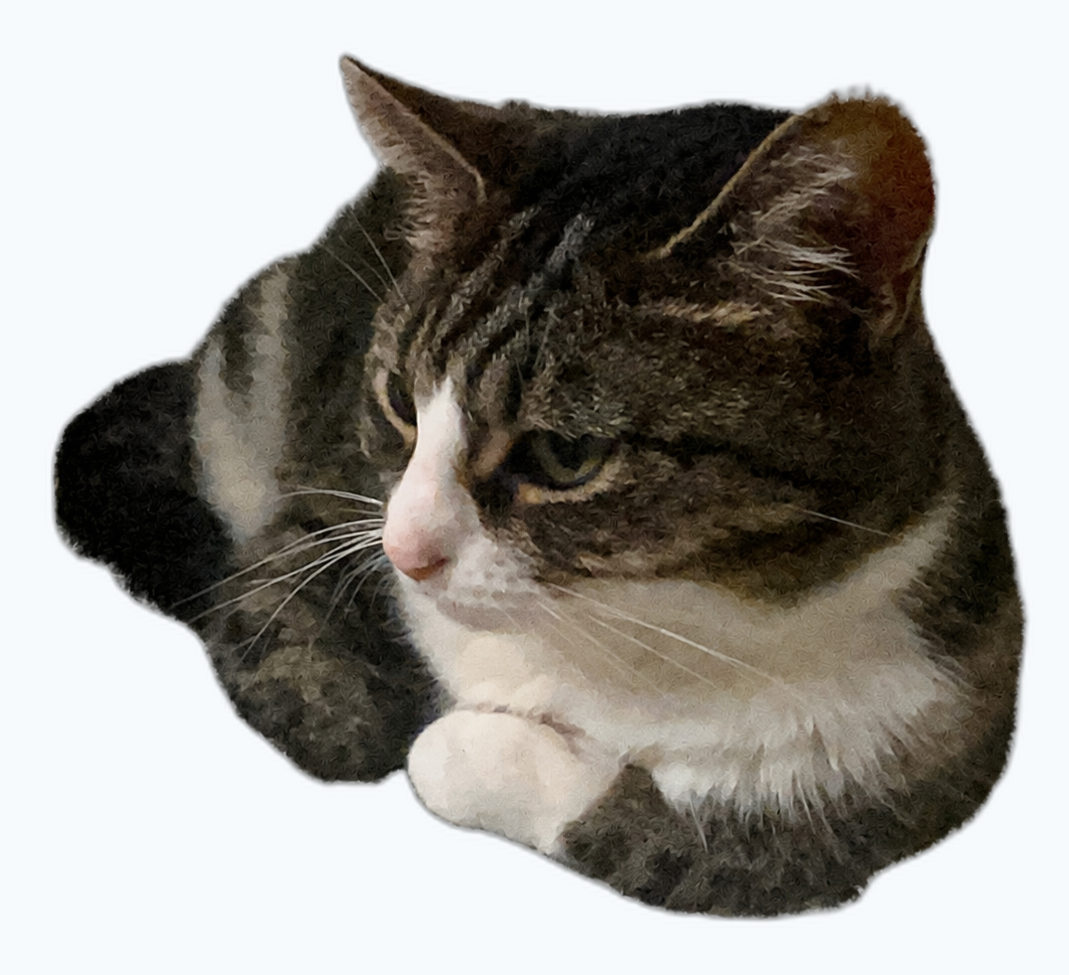 Maomao is waiting for your first pet